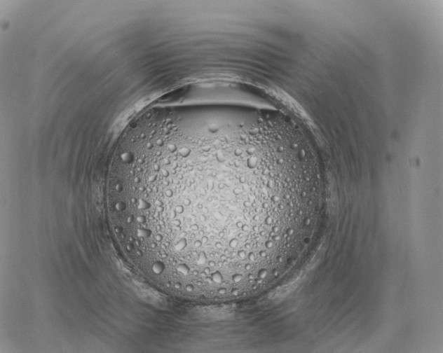 X0000060770937200511241750