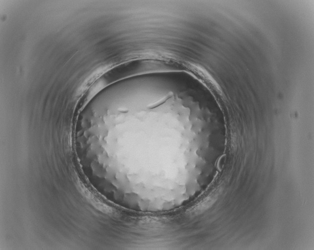 X0000060770938200511241750