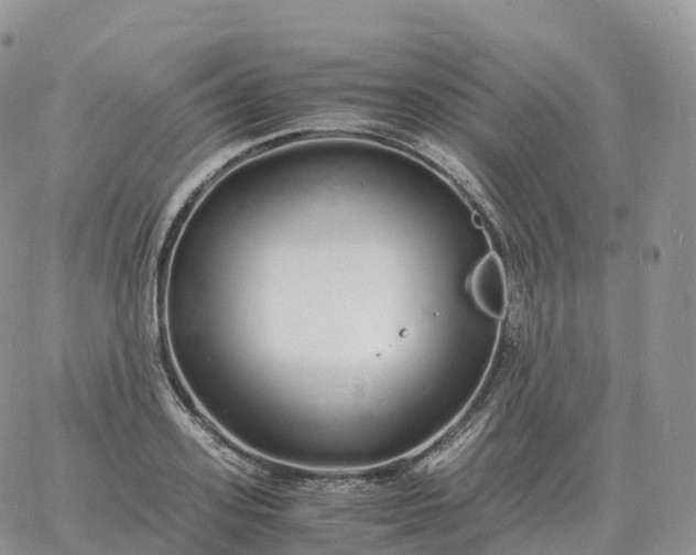 X0000060770939200511241750