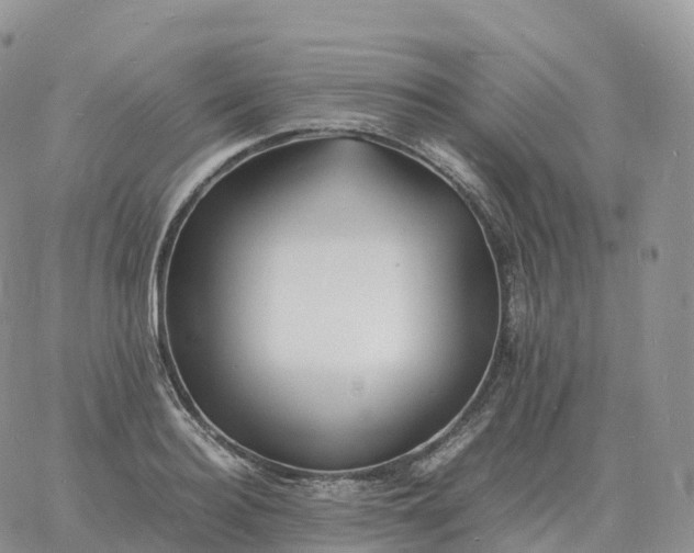 X0000060770940200511241750