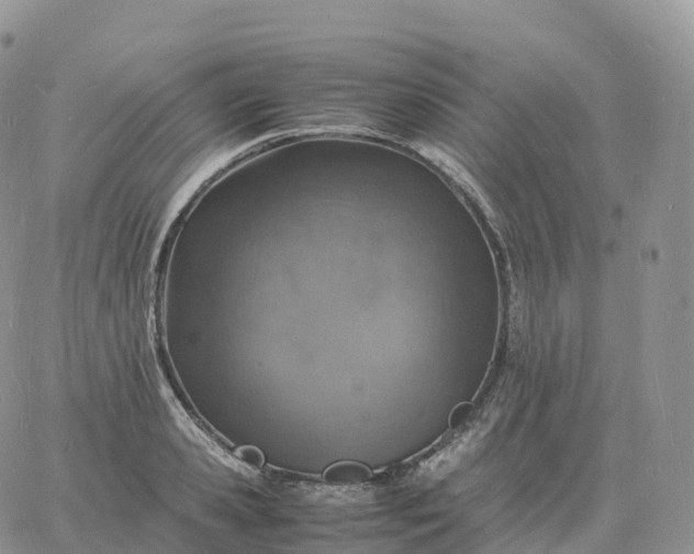 X0000060770941200511241750