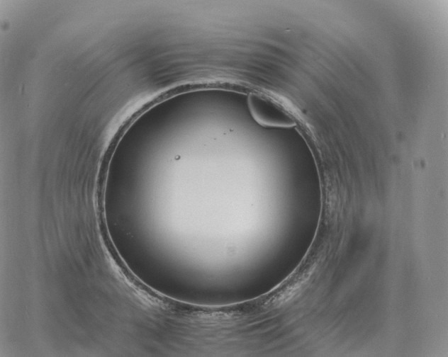 X0000060770943200511241750