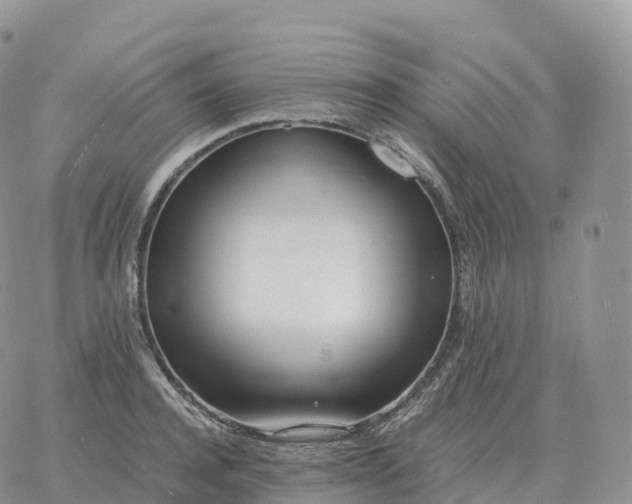 X0000060770944200511241750