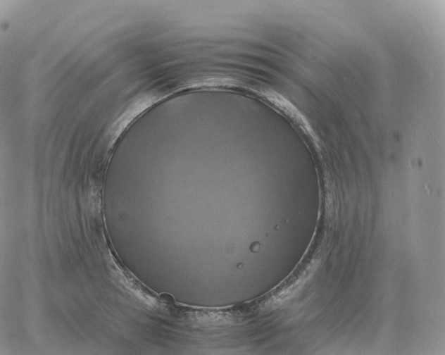 X0000060770945200511241750