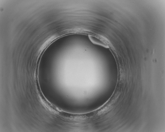 X0000060770946200511241750