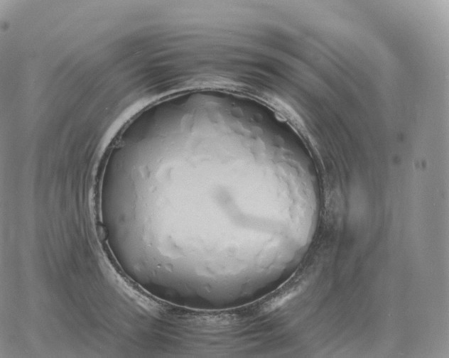 X0000060770947200511241750