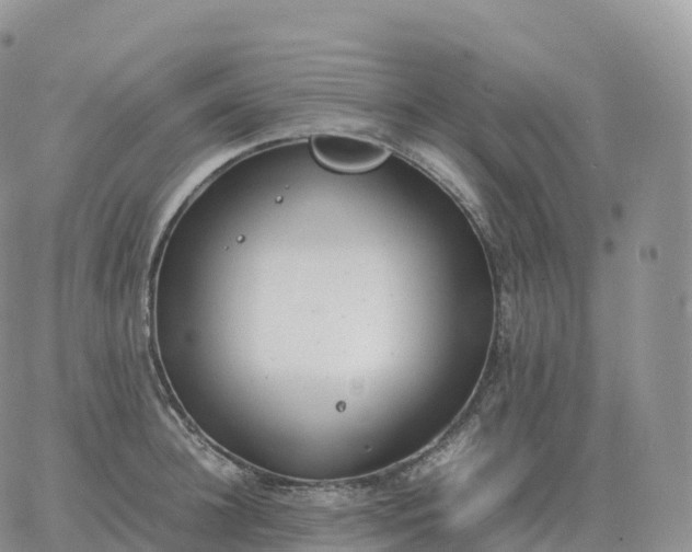 X0000060770948200511241750