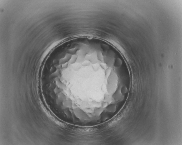 X0000060770949200511241750