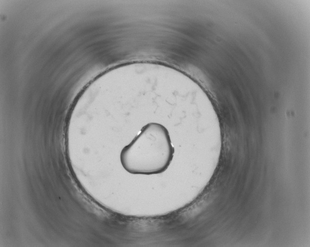 X0000060770950200511241750