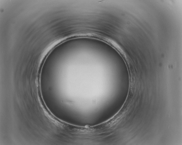 X0000060770951200511241750