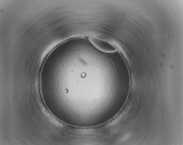 X0000060770952200511241750