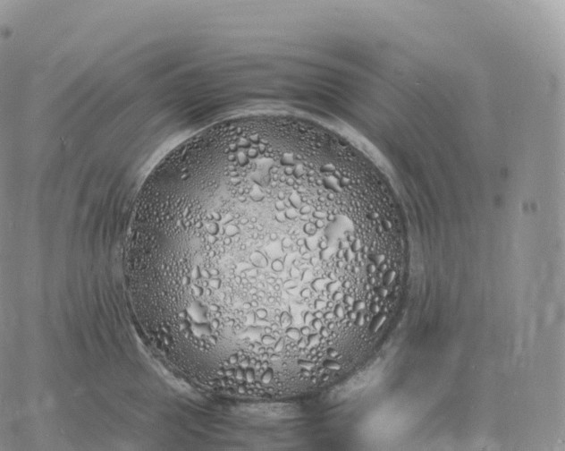 X0000060770953200511241750