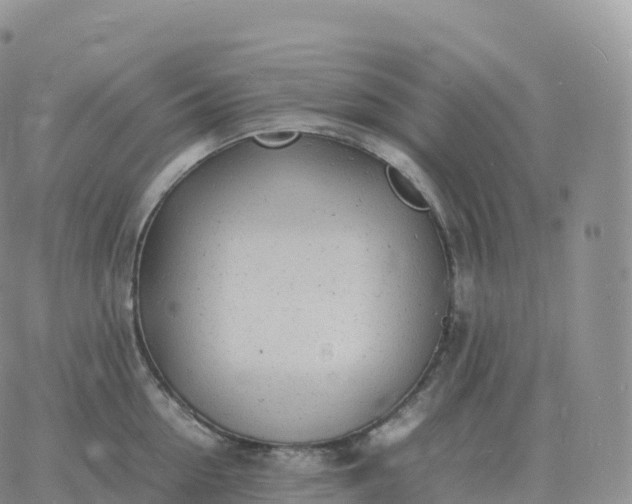 X0000060770954200511241750