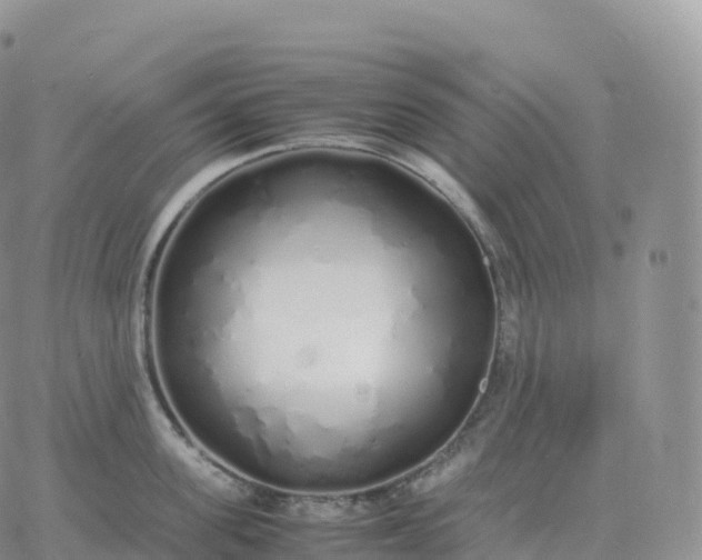 X0000060770955200511241750