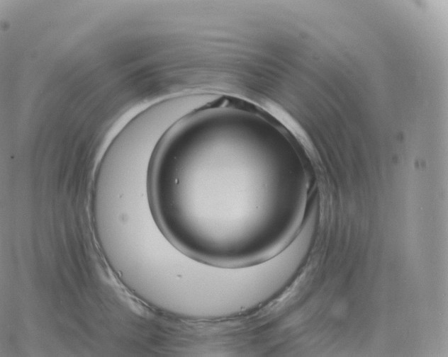 X0000060770956200511241750