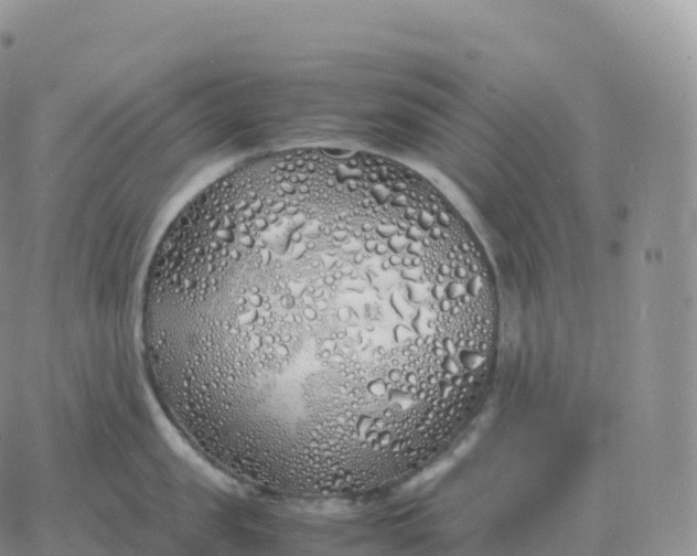 X0000060770957200511241750