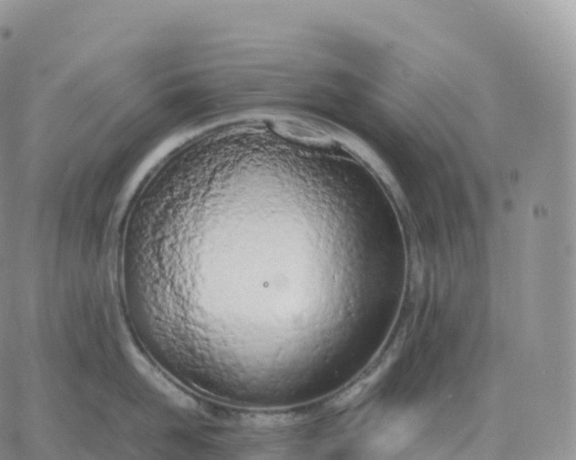 X0000060770958200511241750