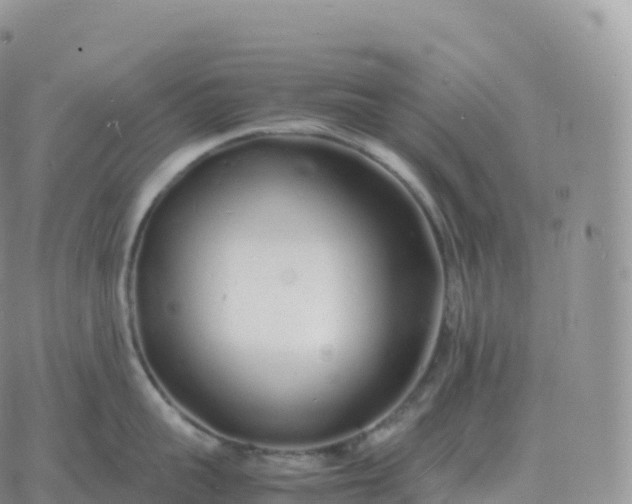 X0000060770959200511241750