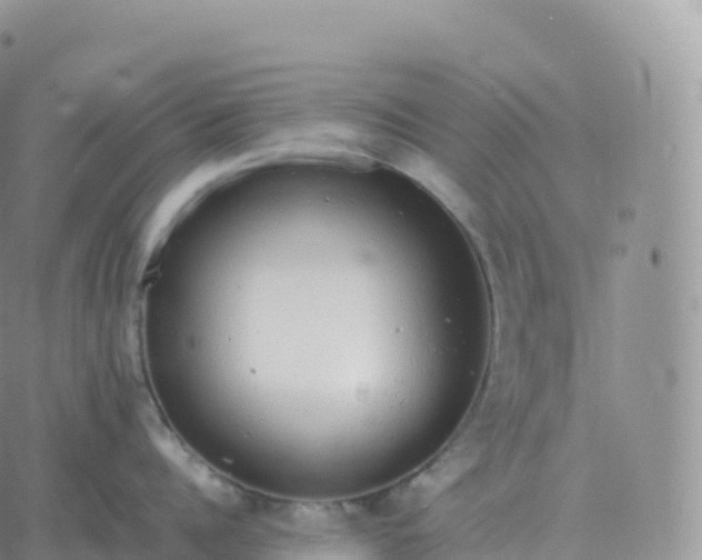 X0000060770960200511241750