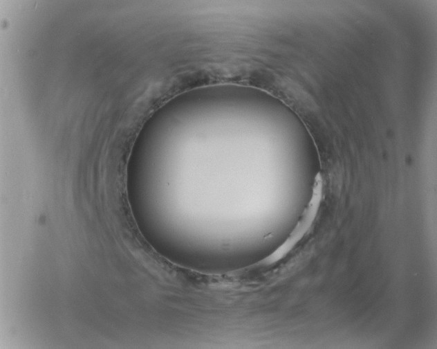 X0000060770961200511241750