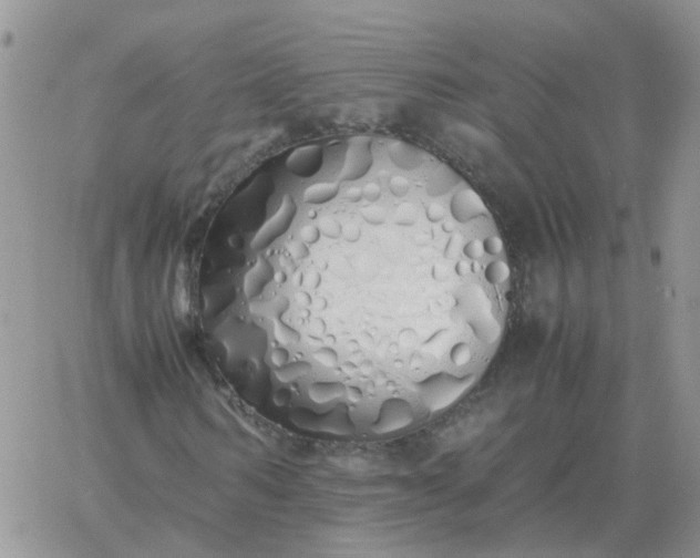 X0000060770962200511241749