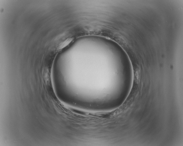 X0000060770963200511241749