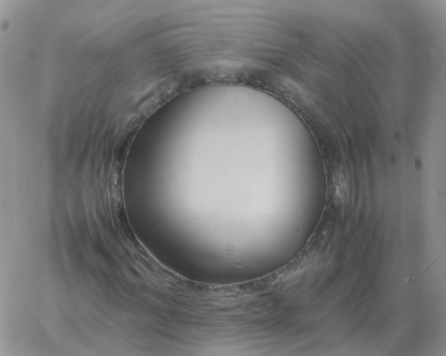 X0000060770964200511241749