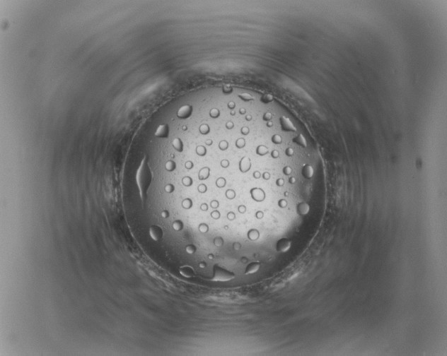 X0000060770966200511241749