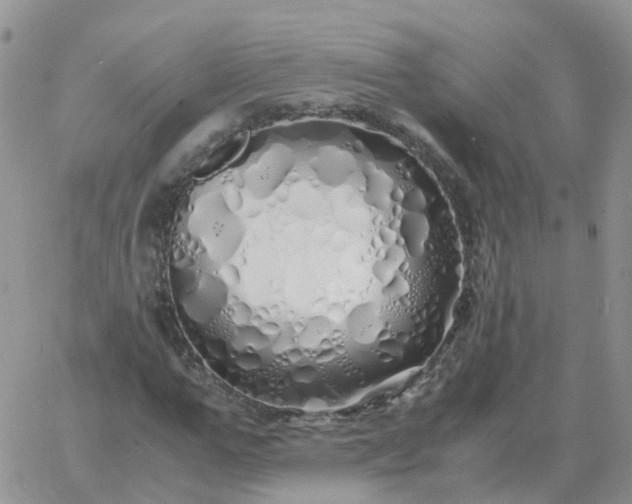 X0000060770967200511241749