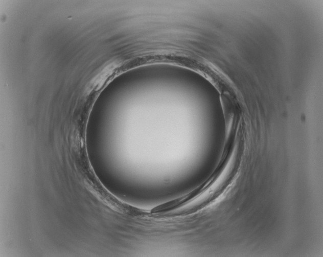 X0000060770969200511241749