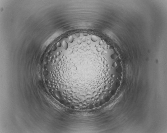 X0000060770970200511241749