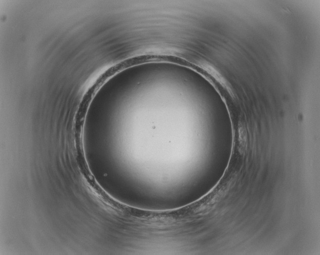 X0000060770972200511241749