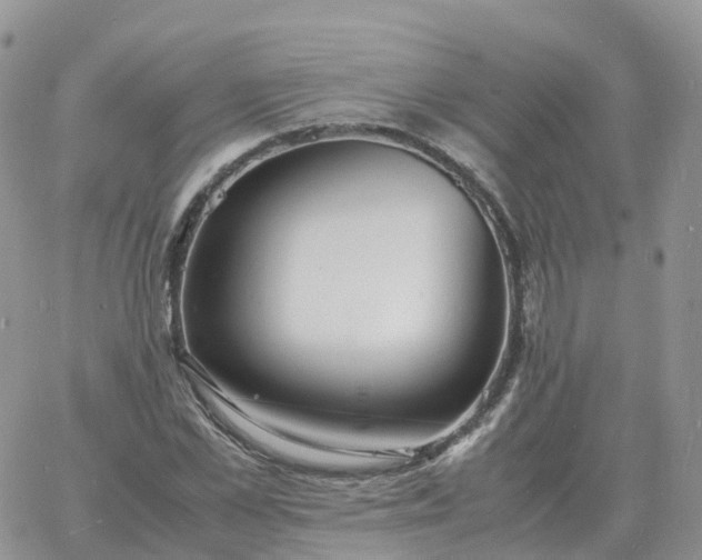 X0000060770973200511241749