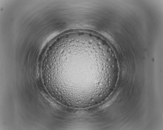 X0000060770974200511241749