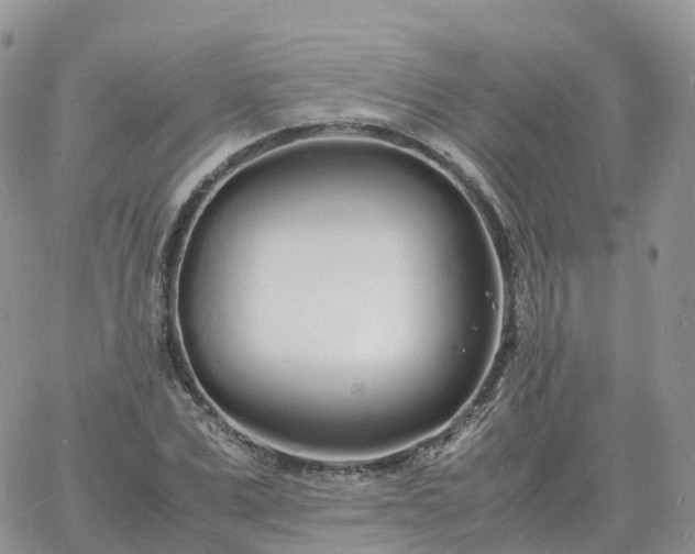 X0000060770975200511241749