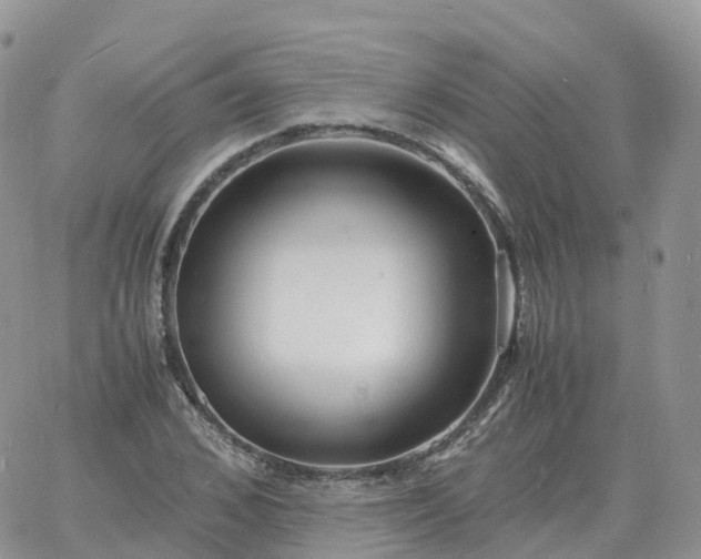 X0000060770976200511241749