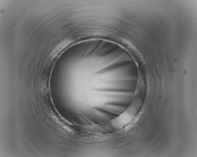 X0000060770977200511241749