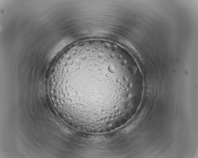 X0000060770978200511241749