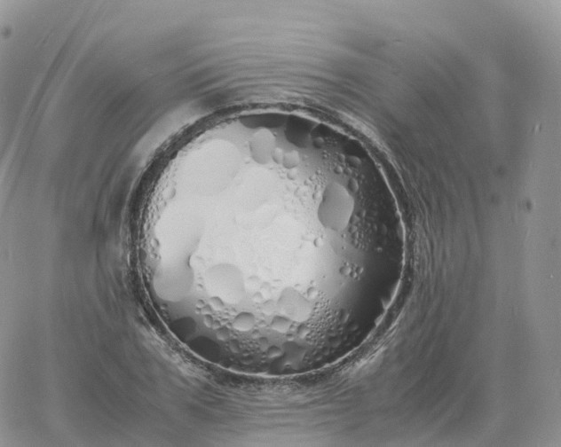 X0000060770979200511241749