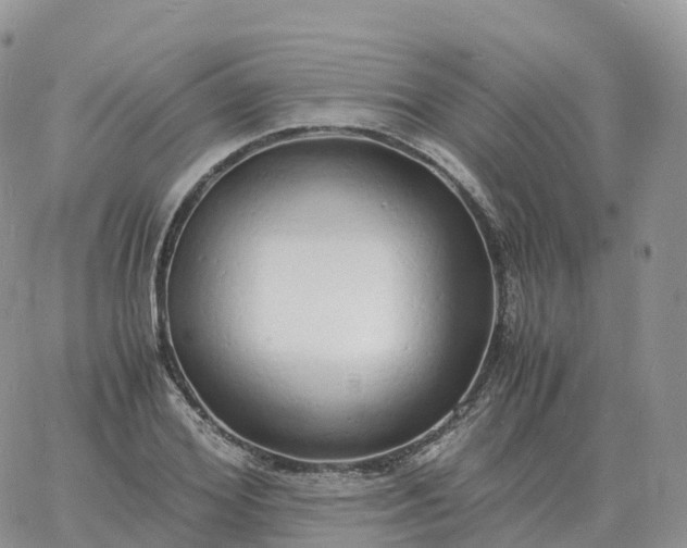 X0000060770980200511241749