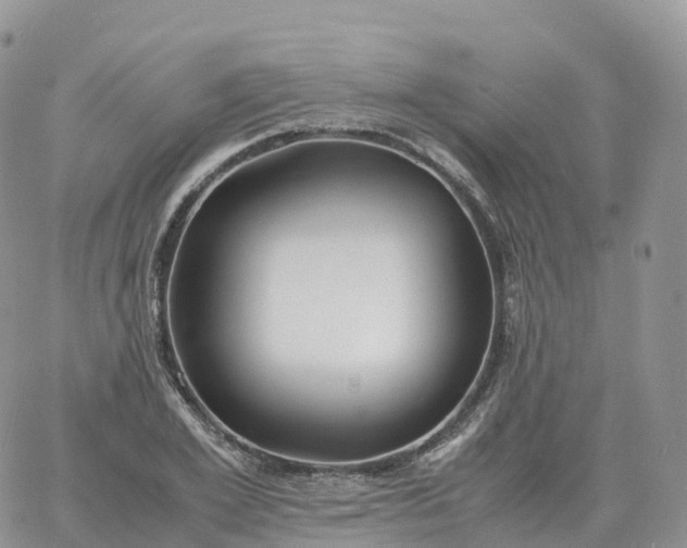 X0000060770981200511241749