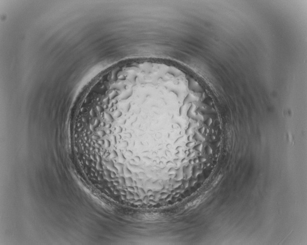 X0000060770982200511241749