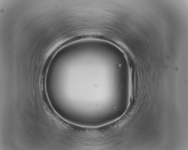 X0000060770983200511241749