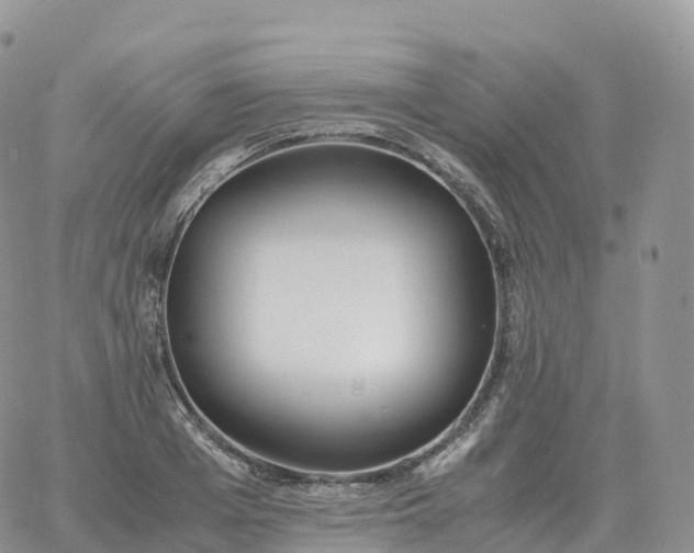 X0000060770985200511241749