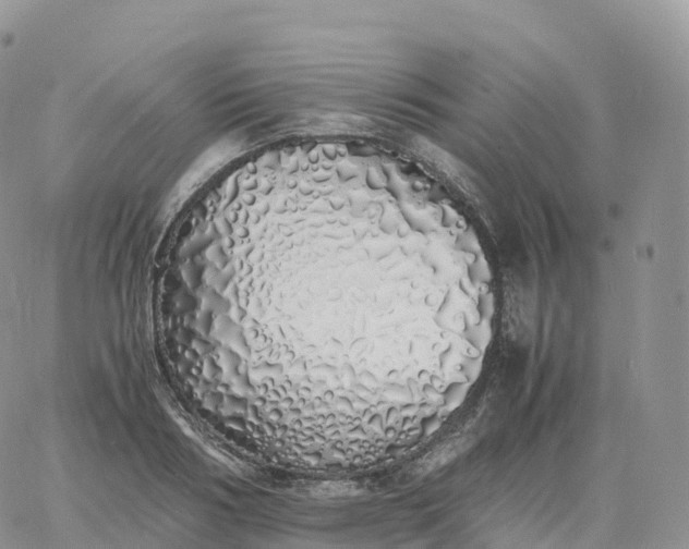 X0000060770986200511241749