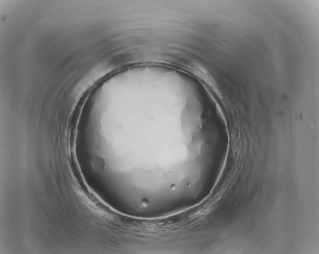 X0000060770987200511241749