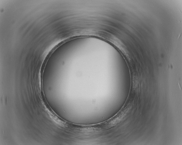 X0000060770988200511241749