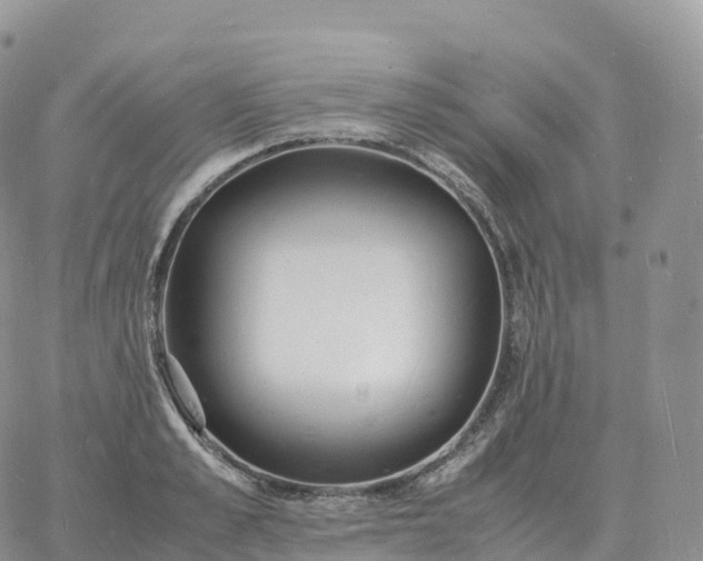 X0000060770989200511241749