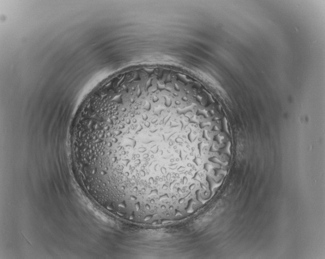 X0000060770990200511241749