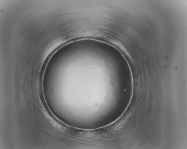 X0000060770991200511241749